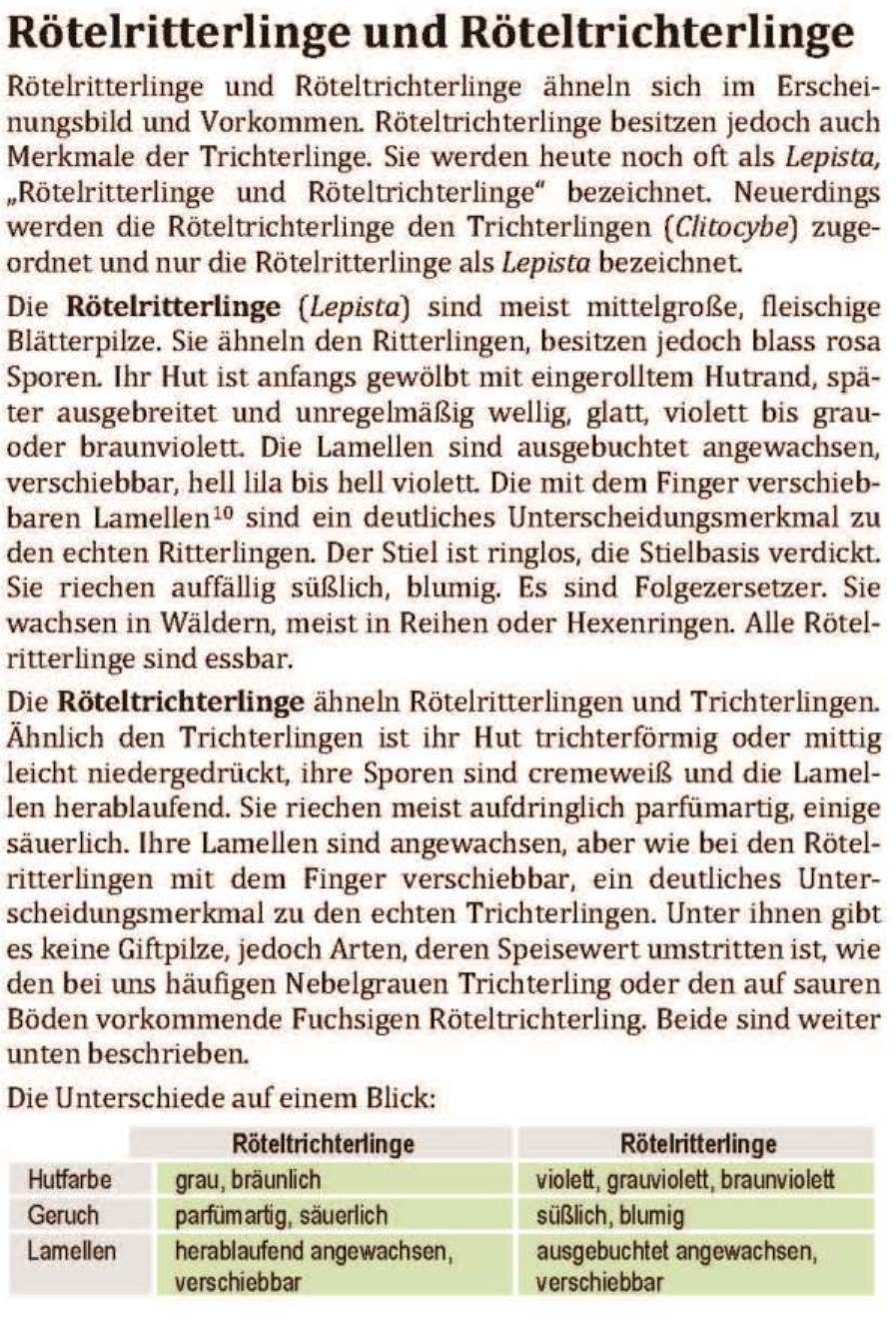Schwammerl  Umland R�teltrichterlinge R�telritterlinge